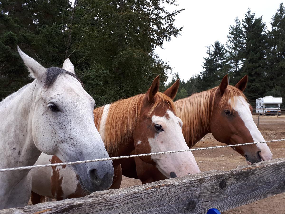 Paradise Acres Ranch Nanoose Bay Exterior foto