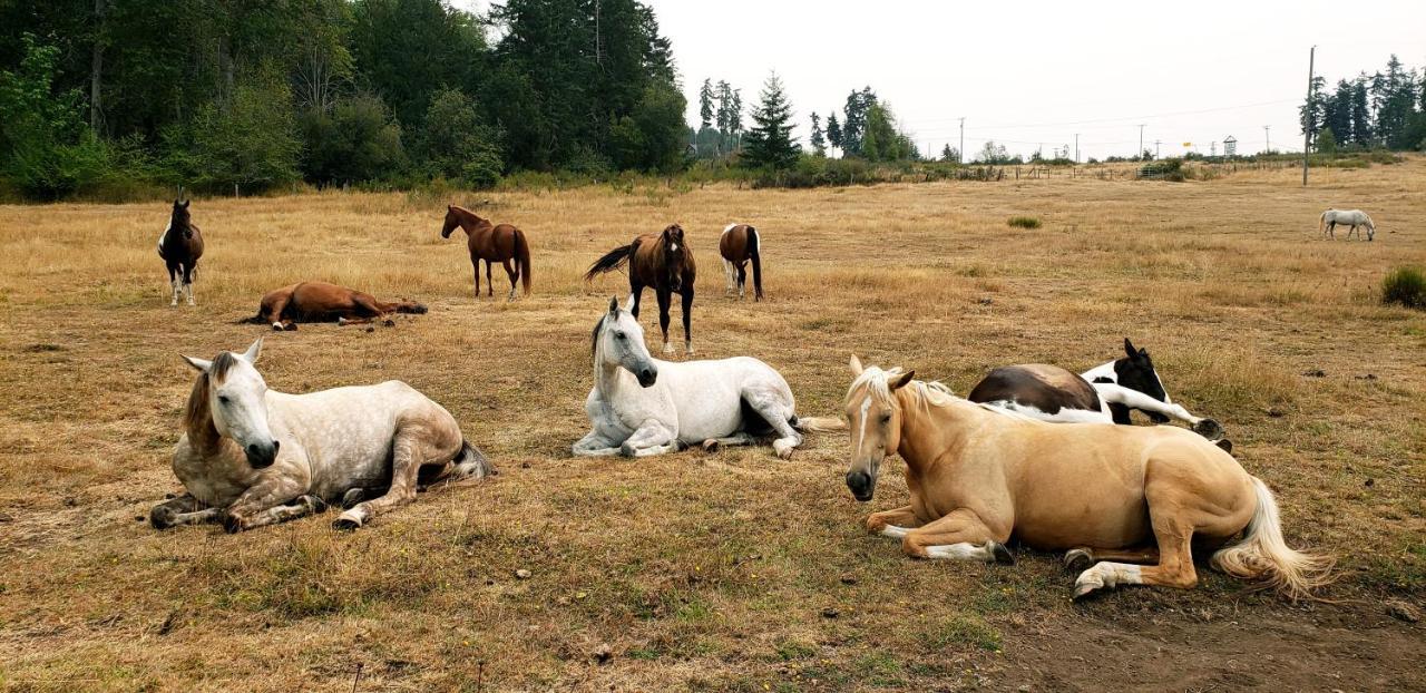 Paradise Acres Ranch Nanoose Bay Exterior foto