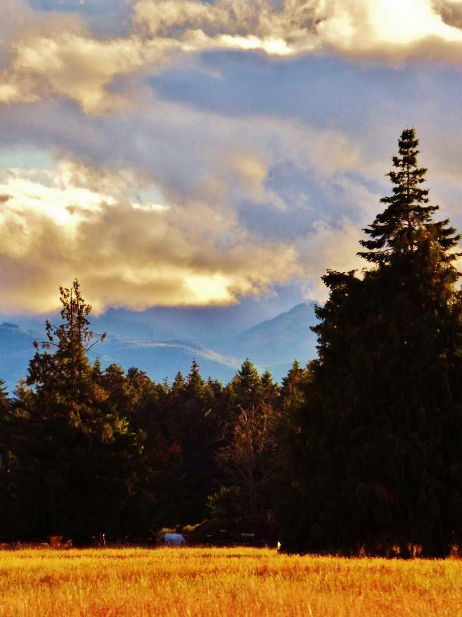 Paradise Acres Ranch Nanoose Bay Exterior foto